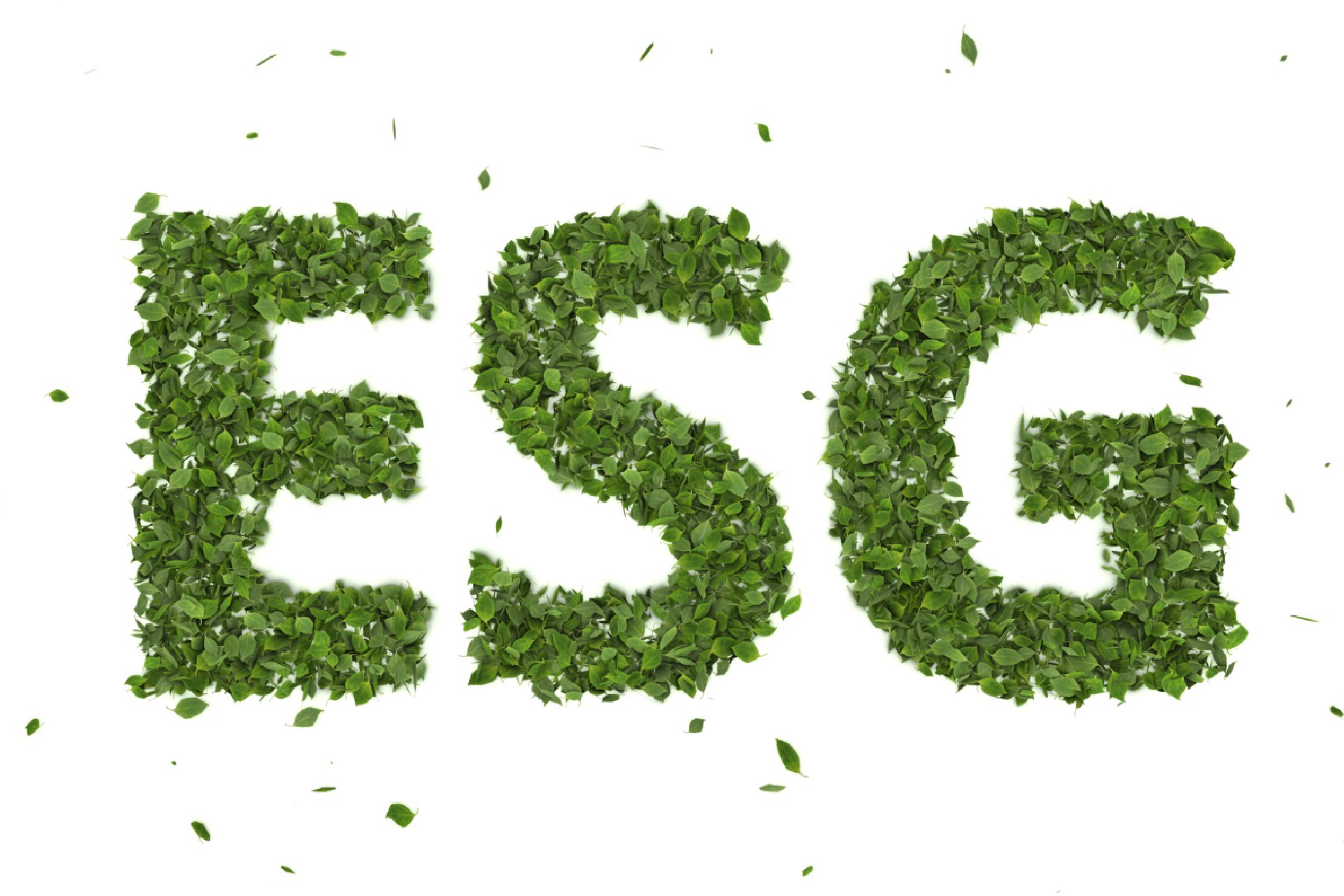 Certificazione ESG