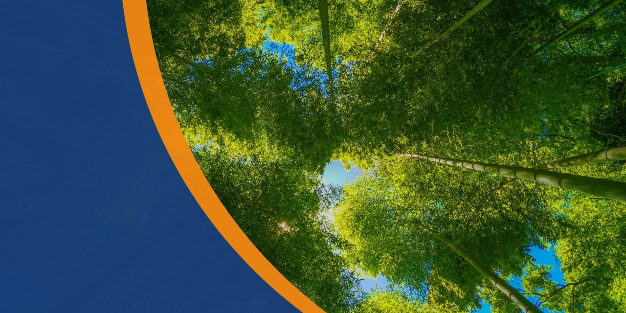ISO 14001: Transizione Ecologica e Compliance