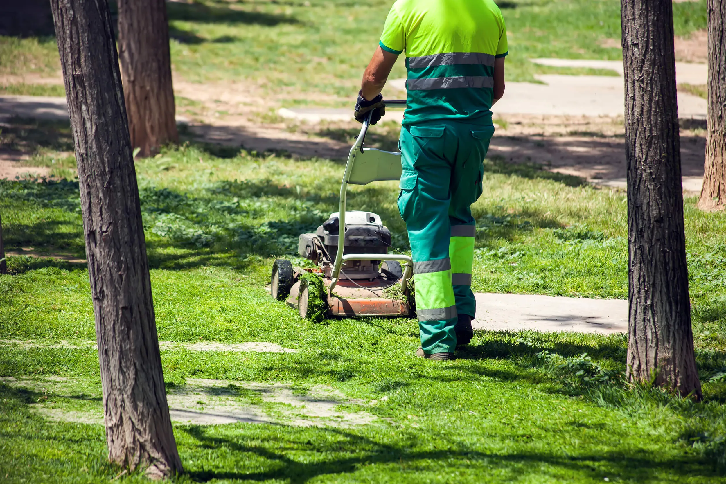 Addetto alla sistemazione e manutenzione aree verdi
