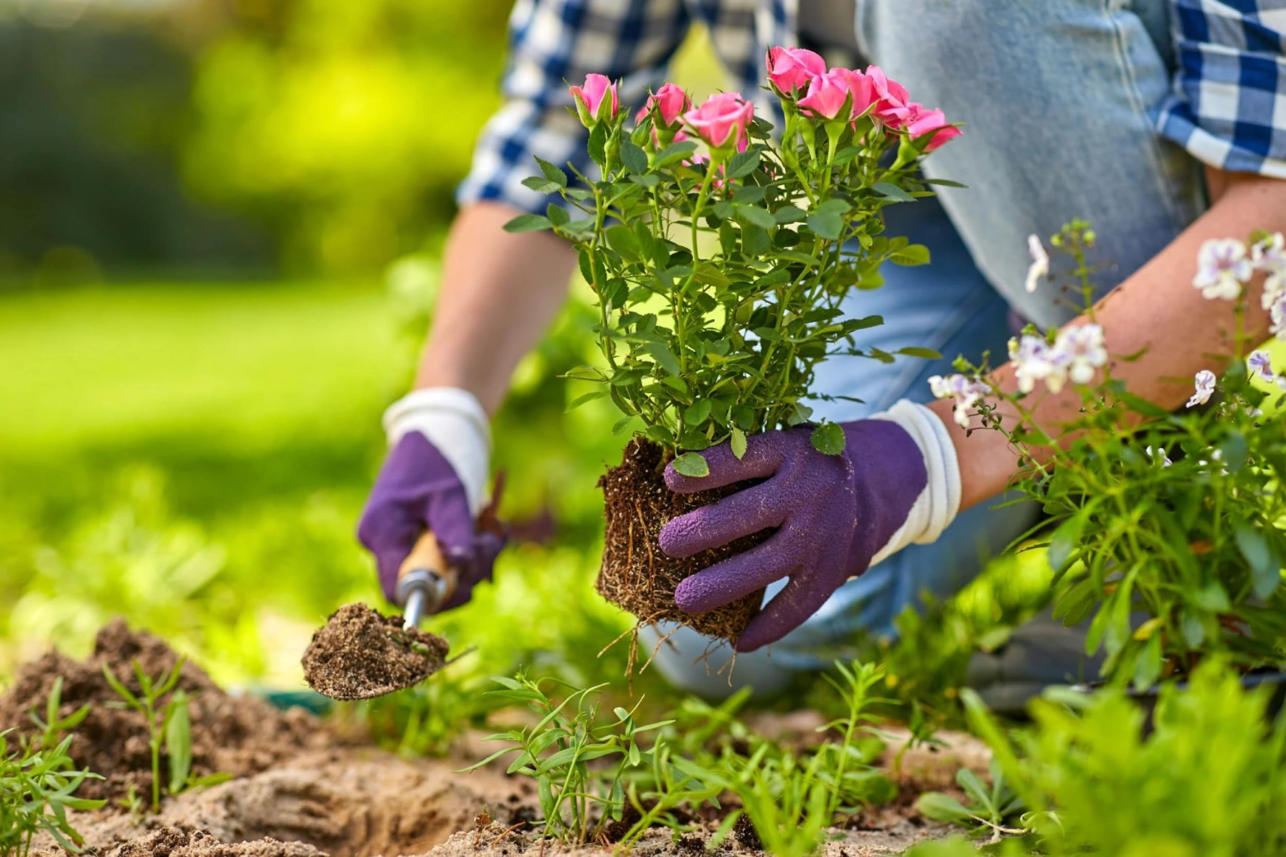 Tecniche Base di Giardinaggio